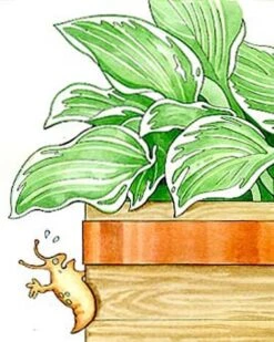 Copper Slug Tape -Garden Pot Planter Sales Store 38 994 b