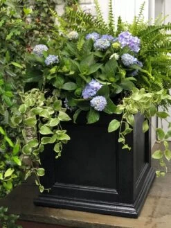 Fairfield Self-Watering Square Planter, 20” X 20” -Garden Pot Planter Sales Store 39 618 205V tif