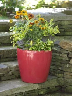Viva Round Self-Watering Rolling Planter, 17.25” Diameter -Garden Pot Planter Sales Store 39326 046 tif