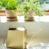Precision Brass Watering Can