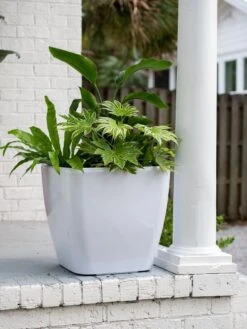 Viva Square Self-Watering Rolling Planter, 20" Diameter, Set Of 2 19 Viva Square Self-Watering Rolling Planter, 20" Diameter, Set Of 2 -Garden Pot Planter Sales Store 3 4 crop 8612930 0033 tif