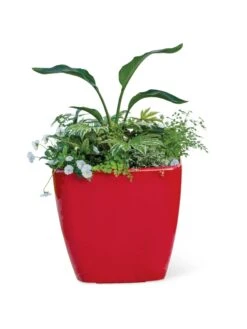 Viva Square Self-Watering Rolling Planter, 20" Diameter, Set Of 2 20 Viva Square Self-Watering Rolling Planter, 20" Diameter, Set Of 2 -Garden Pot Planter Sales Store 3 4 crop 8612930 0037 tif