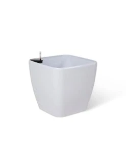 Viva Square Self-Watering Rolling Planter, 20" Diameter, Set Of 2 26 Viva Square Self-Watering Rolling Planter, 20" Diameter, Set Of 2 -Garden Pot Planter Sales Store 3 4 crop 8612930 0106