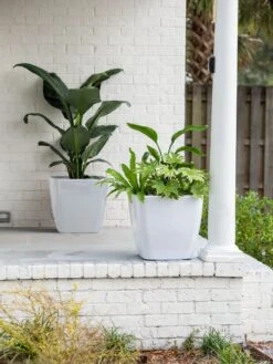 Viva Square Self-Watering Rolling Planter, 20" Diameter, Set Of 2 16 Viva Square Self-Watering Rolling Planter, 20" Diameter, Set Of 2 -Garden Pot Planter Sales Store 3 4 crop 8612930 10031