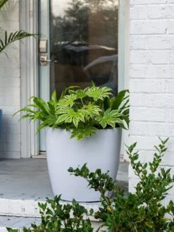 Viva Round Self-Watering Rolling Planter, 20" Diameter, Set Of 2 -Garden Pot Planter Sales Store 3 4 crop 8612933 0025 tif