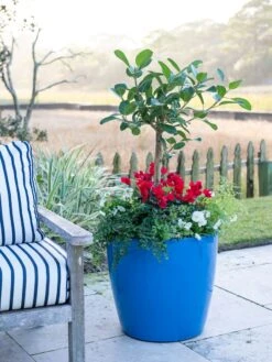 Viva Round Self-Watering Rolling Planter, 20" Diameter, Set Of 2 -Garden Pot Planter Sales Store 3 4 crop 8612933 5312 tif