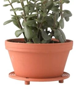 Garden Pot Planter Sales Store -Garden Pot Planter Sales Store 8586907 014 tif