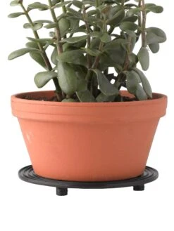 5" SurfaceSaver® , Set Of 2 -Garden Pot Planter Sales Store 8586907 016 tif