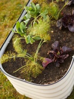 Birdies™ Modular Metal Raised Bed 19 Birdies™ Modular Metal Raised Bed -Garden Pot Planter Sales Store 8586930 6019 tif