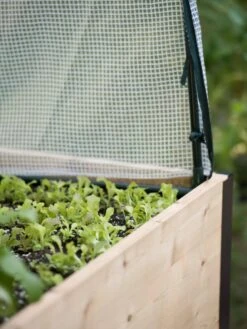 Planter Box, Frame And 2 Covers Kit, 2' X 4' 16 Planter Box, Frame And 2 Covers Kit, 2' X 4' -Garden Pot Planter Sales Store 8587631 265 tif 1