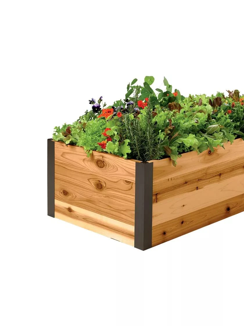 Deep Root Raised Beds, 14" Deep 2' Wide 5 Deep Root Raised Beds, 14" Deep 2' Wide - Image 3