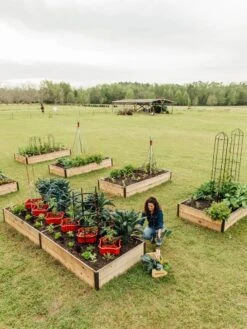 Deep Root Raised Beds, 14" Deep 4' Wide 12 Deep Root Raised Beds, 14" Deep 4' Wide -Garden Pot Planter Sales Store 8587813 505 tif