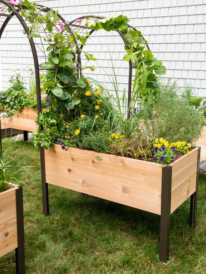 2’ X 4’ Arch Trellis For Planter Boxes 8 2’ X 4’ Arch Trellis For Planter Boxes - Image 6