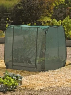 Pest Control Pop-Ups 13 Pest Control Pop-Ups -Garden Pot Planter Sales Store 8587859 026 tif