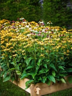 Farmstead Cedar Raised Garden Beds, 2' -Garden Pot Planter Sales Store 8588144 014V tif