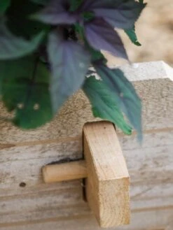 Farmstead Cedar Raised Garden Beds, 2' -Garden Pot Planter Sales Store 8588144 12V tif