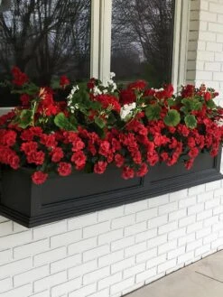 Fairfield Self-Watering Window Box, 5’ -Garden Pot Planter Sales Store 8588938 100V tif