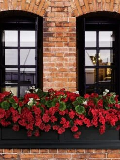 Fairfield Self-Watering Window Box, 5’ -Garden Pot Planter Sales Store 8588938 102V tif