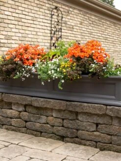 Fairfield Self-Watering Window Box, 5’ -Garden Pot Planter Sales Store 8588938 105V tif