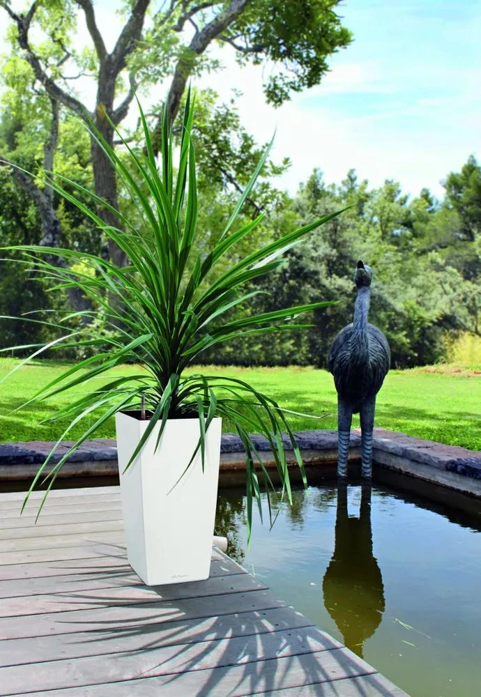 Lechuza® Cubico Color Tall Self-Watering Planters 3 Lechuza® Cubico Color Tall Self-Watering Planters