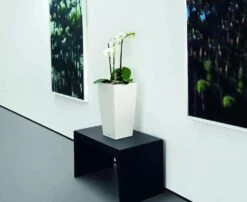 Lechuza® Cubico Color Tall Self-Watering Planters 10 Lechuza® Cubico Color Tall Self-Watering Planters -Garden Pot Planter Sales Store 8589485 03V tif