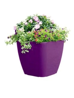 Viva Square Self-Watering Rolling Planter, 17.5" Diameter -Garden Pot Planter Sales Store 8589778PR 6126 tif