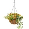 AquaSav™ Oxford Hanging Basket, 14" -Garden Pot Planter Sales Store 8589789 028 tif