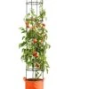 Gardener's Best® Tomato Grow Bag Set -Garden Pot Planter Sales Store 8590013PP 151 Tomato grow bag set tif