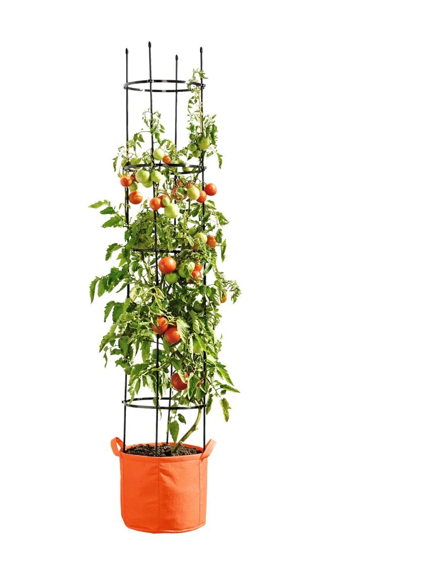 Gardener's Best® Tomato Grow Bag Set 3 Gardener's Best® Tomato Grow Bag Set
