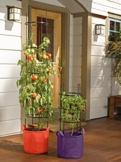 Gardener's Best® Tomato Grow Bag Set 9 Gardener's Best® Tomato Grow Bag Set -Garden Pot Planter Sales Store 8590013 170 tif