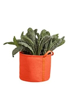 Gardener's Best® Universal Grow Bag 13 Gardener's Best® Universal Grow Bag -Garden Pot Planter Sales Store 8590024PP 227 tif