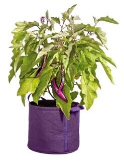 Gardener's Best® Universal Grow Bag 12 Gardener's Best® Universal Grow Bag -Garden Pot Planter Sales Store 8590024PR 214 tif