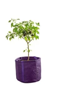 Gardener's Best® Universal Grow Bag 14 Gardener's Best® Universal Grow Bag -Garden Pot Planter Sales Store 8590024PR 249 tif
