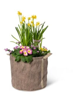 Gardener's Best® Universal Grow Bag 15 Gardener's Best® Universal Grow Bag -Garden Pot Planter Sales Store 8590024 7307 tif