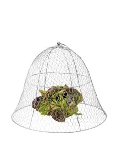 Chicken Wire Cloche 20 Chicken Wire Cloche -Garden Pot Planter Sales Store 8590210 675 tif