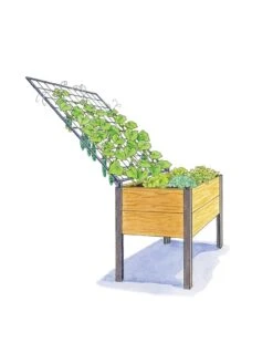 Elevated Planter Box And Space-Maker Pivoting Trellis Set, 2' X 4' -Garden Pot Planter Sales Store 8590247 SMTrellis 4ft tif