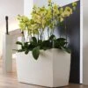 Lechuza® Cararo Rectangular Indoor Planter With Casters 2 Lechuza® Cararo Rectangular Indoor Planter With Casters -Garden Pot Planter Sales Store 8590295 02v lechuza cararo rectangular indoor planter with casters
