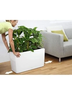 Lechuza® Cararo Rectangular Indoor Planter With Casters -Garden Pot Planter Sales Store 8590295 03v