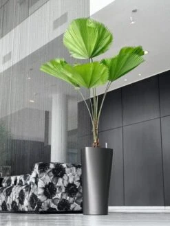 Lechuza® Delta Premium Self-Watering Planters 13 Lechuza® Delta Premium Self-Watering Planters -Garden Pot Planter Sales Store 8590299 02V tif