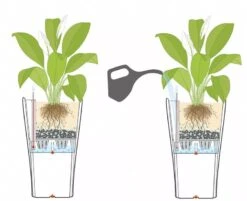 Lechuza® Delta Premium Self-Watering Planters 11 Lechuza® Delta Premium Self-Watering Planters -Garden Pot Planter Sales Store 8590299 07V tif