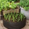 Garlic Grow Bag Kit -Garden Pot Planter Sales Store 8590676 0072 growing garlic grow bag kit