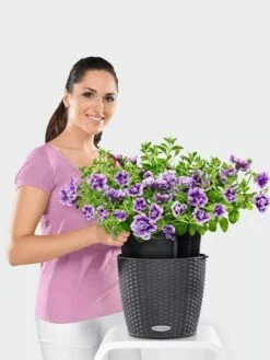 Lechuza® Nido Cottage Wicker Hanging Planter -Garden Pot Planter Sales Store 8591154GT 006V tif