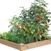 Cedar Raised Garden Bed, 4' X 4' X 6" -Garden Pot Planter Sales Store 8591724 01V tif