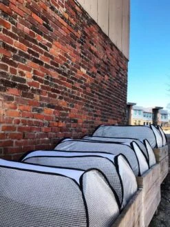 Row Shelter Accelerator -Garden Pot Planter Sales Store 8591990 01IN tif