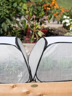 Row Shelter Accelerator -Garden Pot Planter Sales Store 8591990 2199 tif