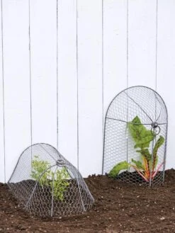 3-in-1 Chicken Wire Cloche 11 3-in-1 Chicken Wire Cloche -Garden Pot Planter Sales Store 8592117 0188 tif