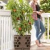 Gardener's Revolution® Tomato Planter -Garden Pot Planter Sales Store 8592159 406 001E tif