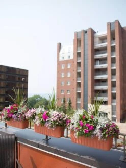 Adjustable Self-Watering Railing Planter, 24" -Garden Pot Planter Sales Store 8592173TC 2383 tif