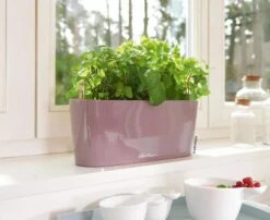 Lechuza® Delta Self-Watering Windowsill Planters 14 Lechuza® Delta Self-Watering Windowsill Planters -Garden Pot Planter Sales Store 8592361 01V tif