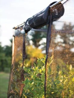 Storm Proof Crop Cage, Large -Garden Pot Planter Sales Store 8592463 115 tif